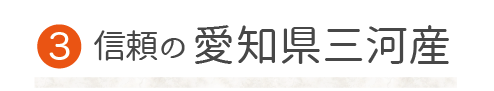 愛知県三河産