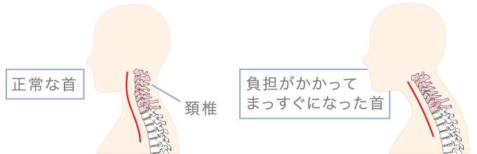 メーカー公式 Style Pit メーカー公式 Style Pit